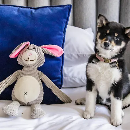 מלון Kimpton De Witt Amsterdam, An Ihg