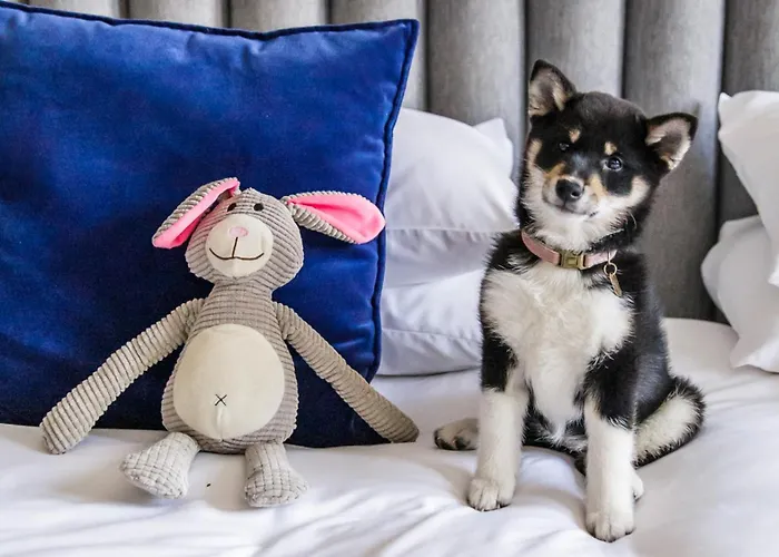 Hotel Kimpton De Witt Amsterdam, An Ihg